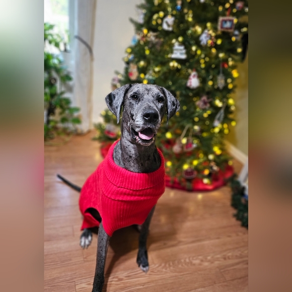 Hello! If you are here, thank you for checking out my page. I appreciate you! 🧡 - Picture 5 of 6